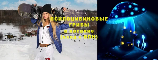 хмурый Алексеевка