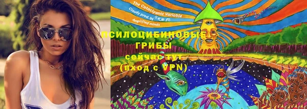 ALPHA PVP Алексин