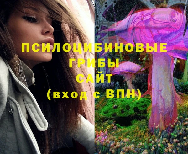 МДПВ Абаза